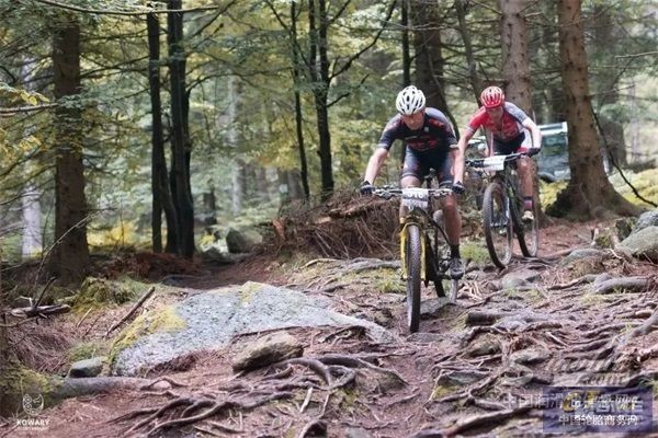 1670290049467610895754[1].jpg